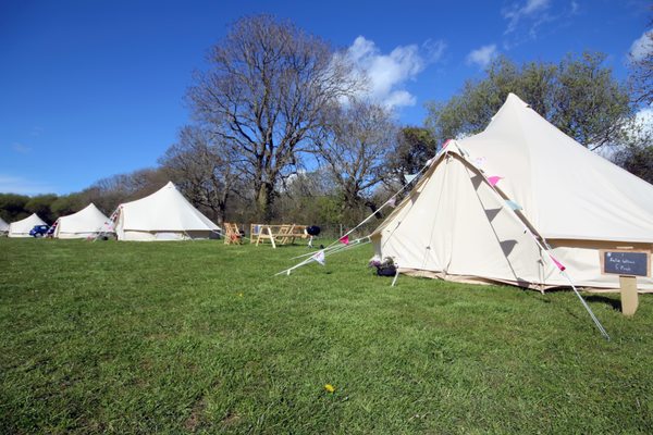 Beavers Retreat Glamping by null