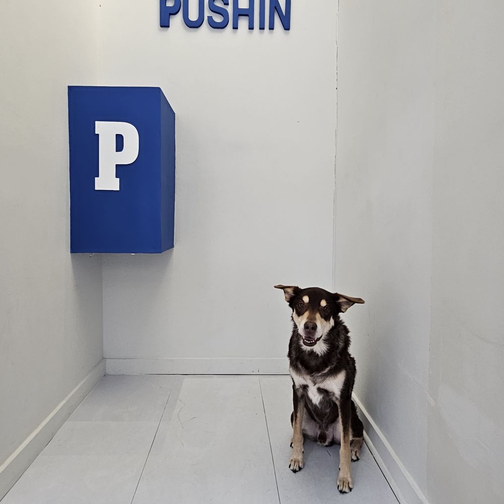 Selfie Cincy - Pushin P. #selfiecincy #HuskyMix #ReviewsByRL - Museums Near Me - Cincinnati, Ohio Selfie Cincy - Pushin P. #selfiecincy #HuskyMix #ReviewsByRL - Museums Near Me - Cincinnati, Ohio