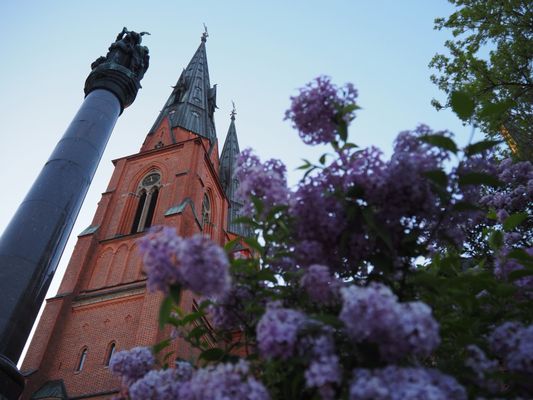 Uppsala Cathedral by null