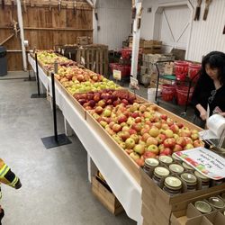 Weber's Farm - Apples