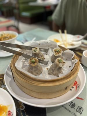 Shanghai You Garden by null