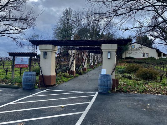 Castoro Cellars Vineyards & Winery by null