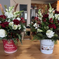 Lilyfield Lane - Beautiful arrangements