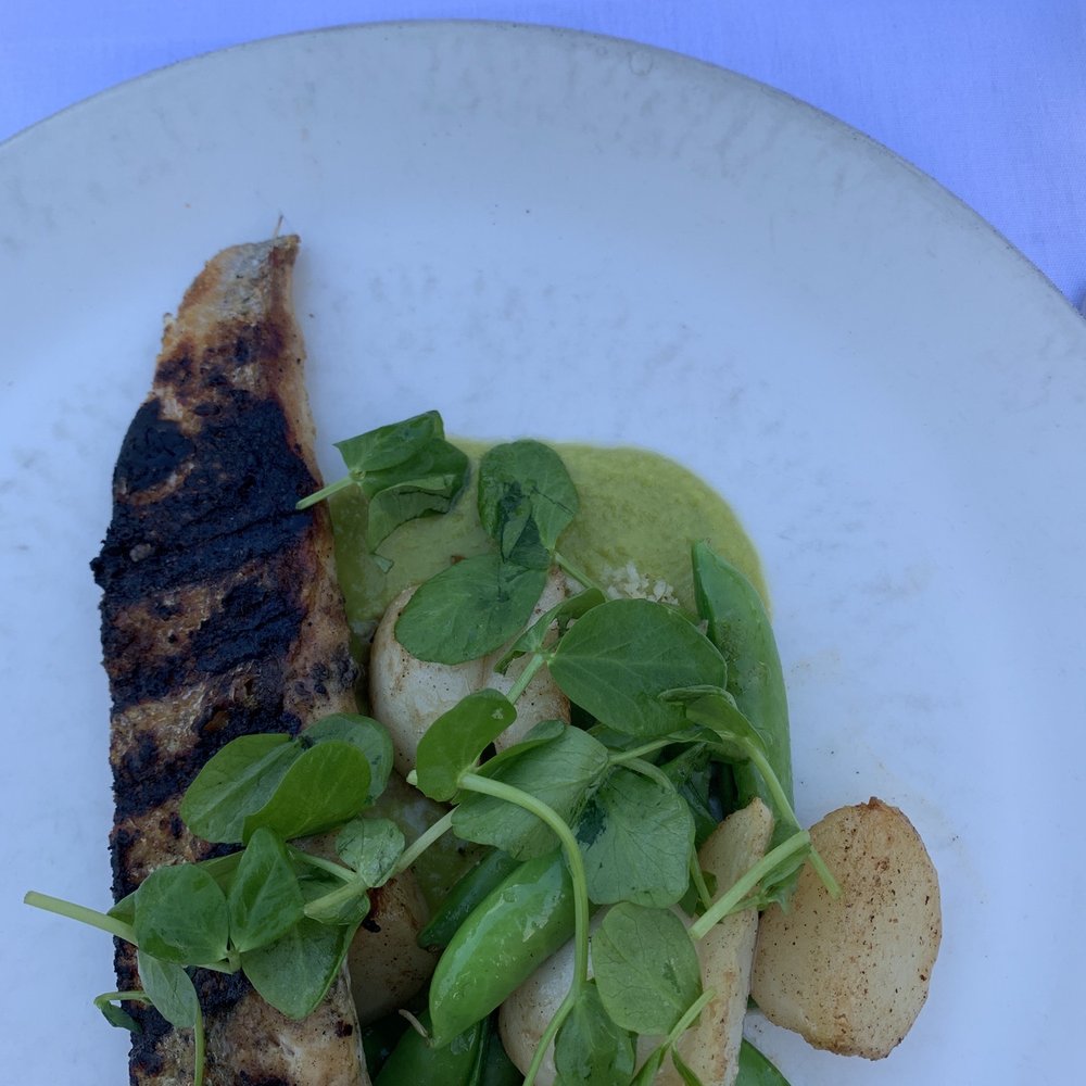 Gemma - Grilled Striped Bass - French Near Me - Dallas, Texas