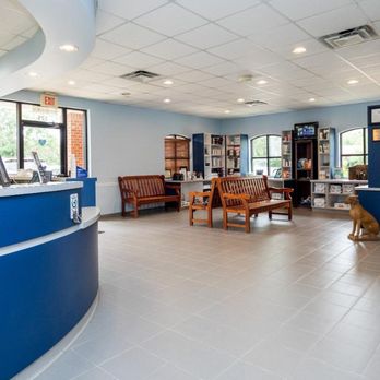 Battleground Hospital for Animals - Veterinarians Near Me - Franklin, Tennessee Battleground Hospital for Animals - Veterinarians Near Me - Franklin, Tennessee