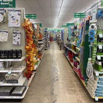 Dollar Tree - Seasonal Aisle - Discount Store Near Me - Newark, Texas