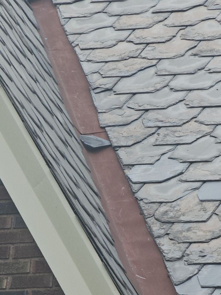 Slide of A Quick Fix Genie