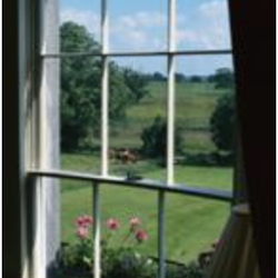 Steve Jamieson Window Cleaning