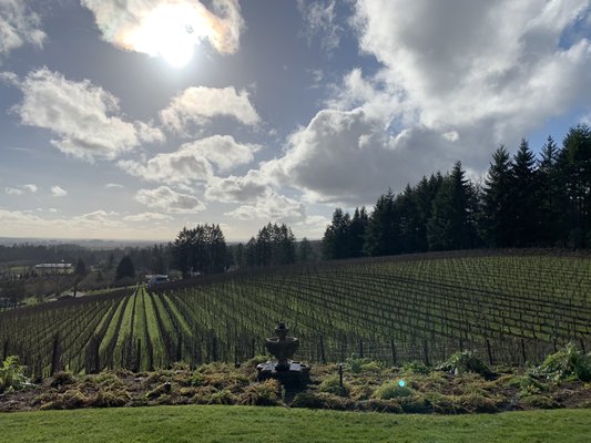 Bergström Wines Tasting Room by null