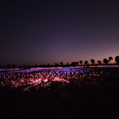 Field of Light by null