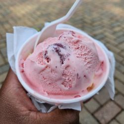 Scoops