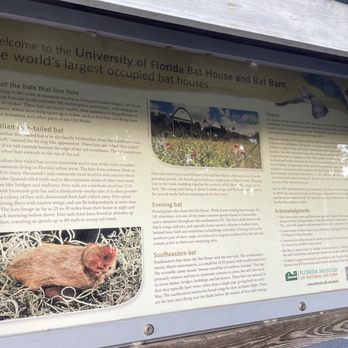 The Bat House - Information - Active Life Near Me - Gainesville, Florida