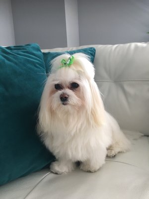 Biscuits & Bath - Riverside Blvd by null