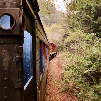 Skunk Train - Gorgeous views on the open carriage. You can walk from your seats inside to this view - Tours Near Me - Fort Bragg, California