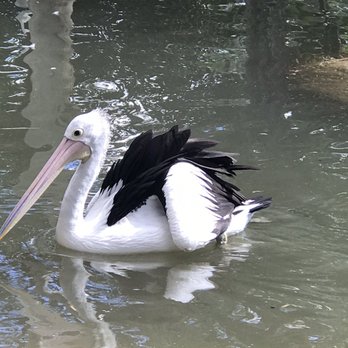 Sydney Wildlife World - Zoos Near Me - Darling Harbour, NSW