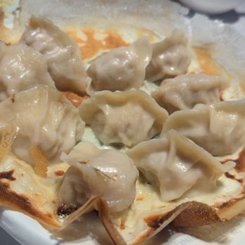 Seven Folding Dumpling House - Pan-Fried Pork & Shrimp Dumplings - Chinese Near Me - Mission Viejo, California Seven Folding Dumpling House - Pan-Fried Pork & Shrimp Dumplings - Chinese Near Me - Mission Viejo, California