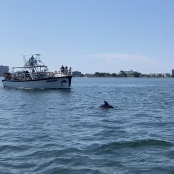 Dolphin Express - Dolphins and another company's super crowded boat-we felt so lucky to have some elbow room! - Boat Charters Near Me - Pensacola Beach, Florida