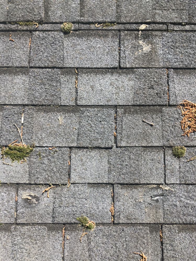 Slide of AAG Enterprises & Southeastern TPO, LLC