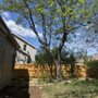 Northern Colorado Tree Service