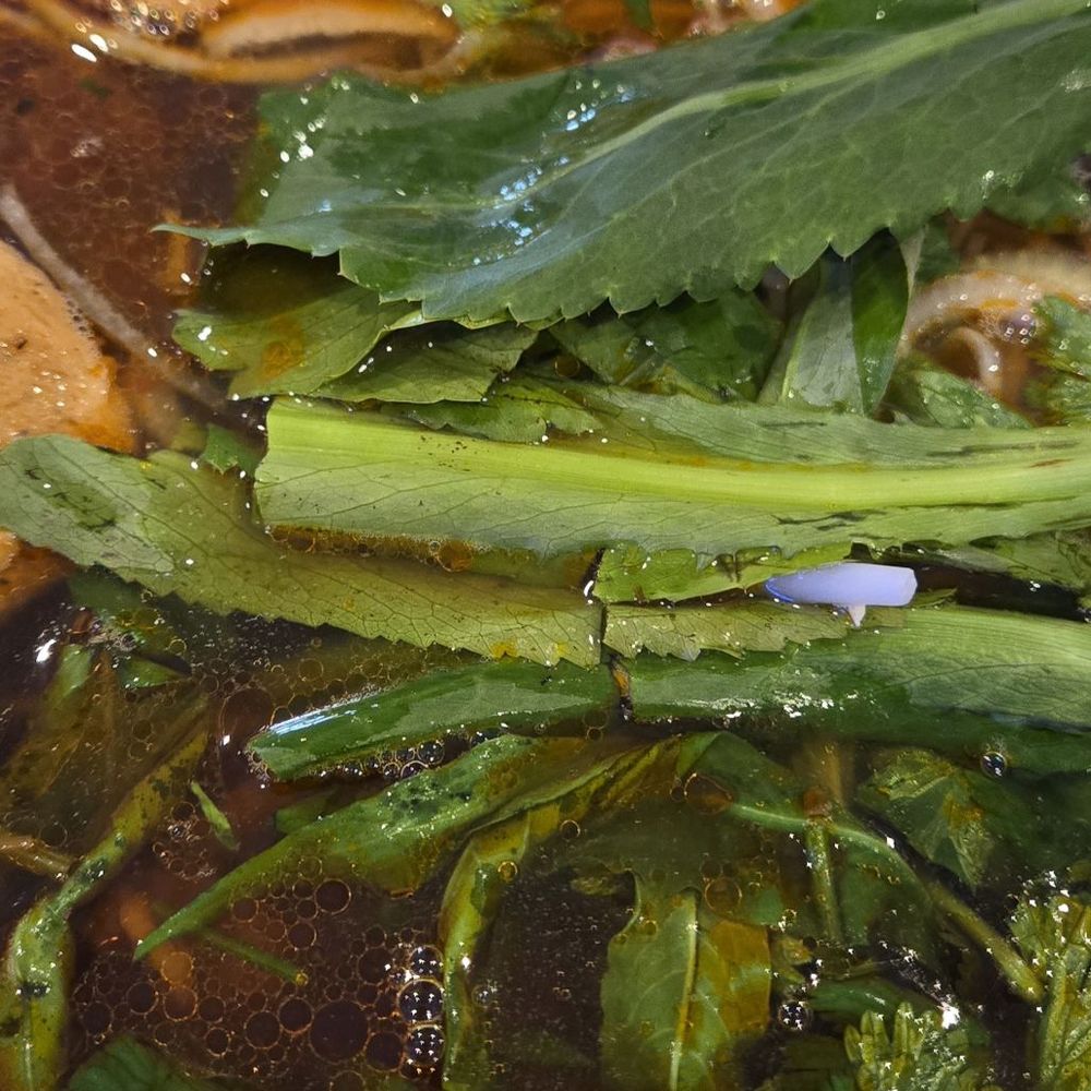 Pho Saigon Oi - Bun Bo Hue (you can customize your desired toppings) - Vietnamese Near Me - North Springfield, Virginia Pho Saigon Oi - Bun Bo Hue (you can customize your desired toppings) - Vietnamese Near Me - North Springfield, Virginia