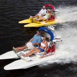Hydrocats