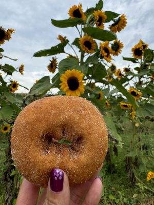 Plymouth Orchards & Cider Mill by null