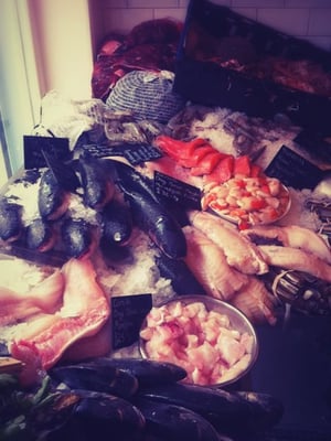 Fin and Flounder by null