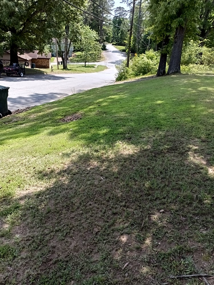 Davis Landscaping and Lawn Care Service - tree service in Little Rock, AR