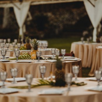 Pacific Party Rentals - Party Supplies Near Me - Kaneohe, Hawaii Pacific Party Rentals - Party Supplies Near Me - Kaneohe, Hawaii