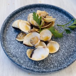 Clams Clams