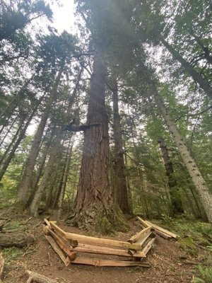 Moran State Park by null