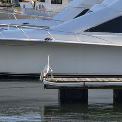 Docktails - View from my seat outside
