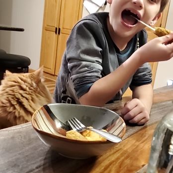 Mr. Large Burrito - My son enjoying the Cheese pull of the Curds - Mexican Near Me - Forest Lake, Minnesota Mr. Large Burrito - My son enjoying the Cheese pull of the Curds - Mexican Near Me - Forest Lake, Minnesota