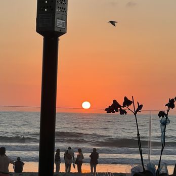 Poseidon On The Beach - Seafood Near Me - Del Mar, California Poseidon On The Beach - Seafood Near Me - Del Mar, California