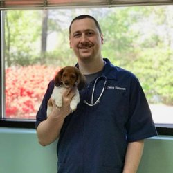 Village Animal Hospital