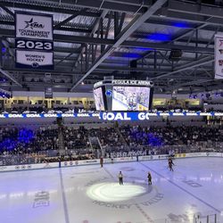 Pegula Ice Arena - Rink