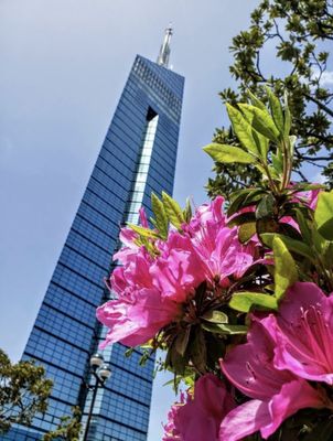 Fukuoka Tower by null
