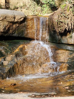 Cascade Springs Nature Preserve by null