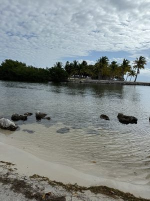 Curry Hammock State Park by null