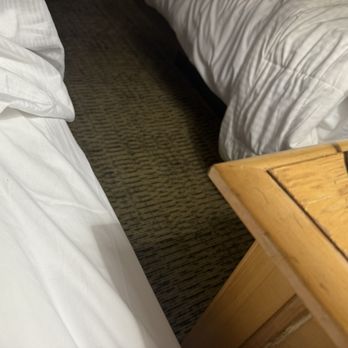 The Sagamore - Dangerous covers for kids - Hotels Near Me - Bolton Landing, New York