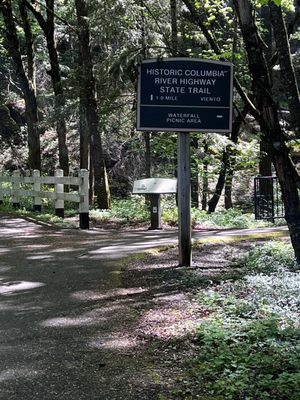 Starvation Creek Falls by null