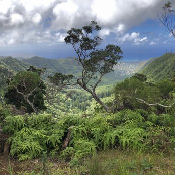 Wiliwilinui Ridge Trail - Hiking Near Me Wiliwilinui Ridge Trail - Hiking Near Me