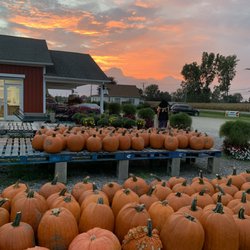Kutchey Family Farm
