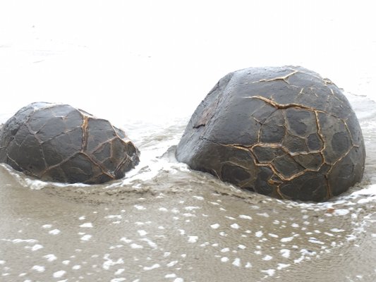 Moeraki Boulders Beach by null
