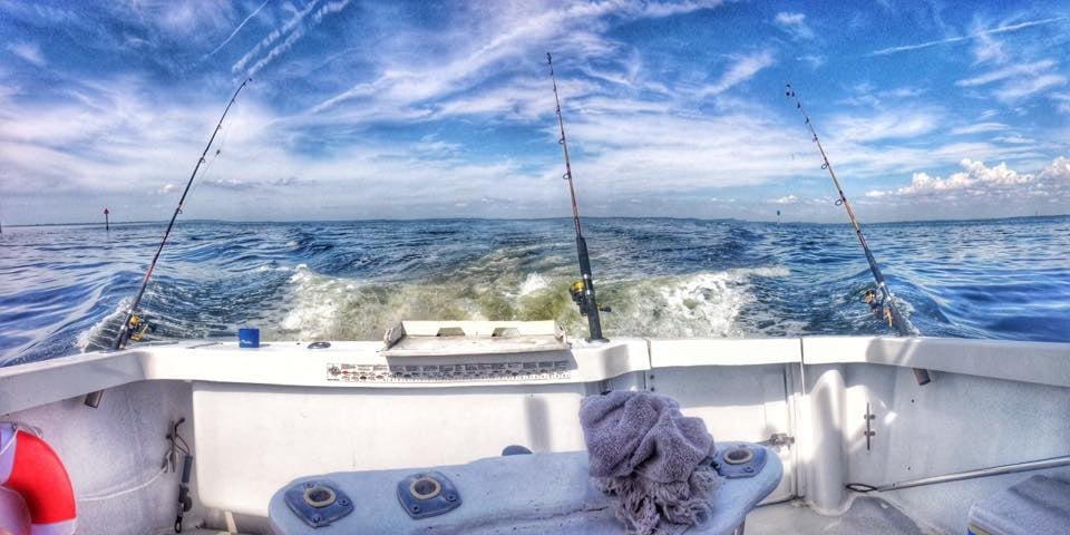 Damn Yankee Fishing Charters Logo