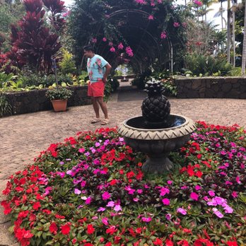 Doutor Coffee Mauka Meadows - Love the flowery arch behind the water fountain - Coffee & Tea Near Me - Holualoa, Hawaii