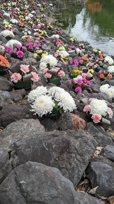 Shirotori Garden by null