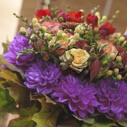Marylebone Florist