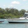 Photo of Bad Habit Sport Fishing Charters
