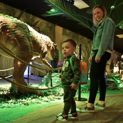 Jurassic Gardens